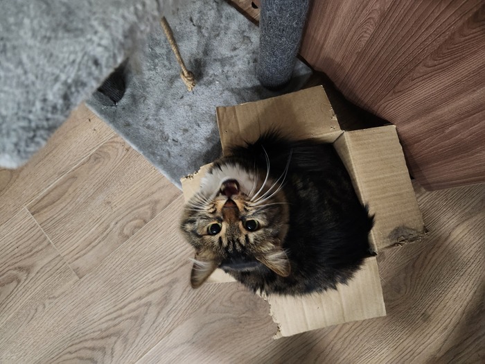 Ежедневный Рислинг #140