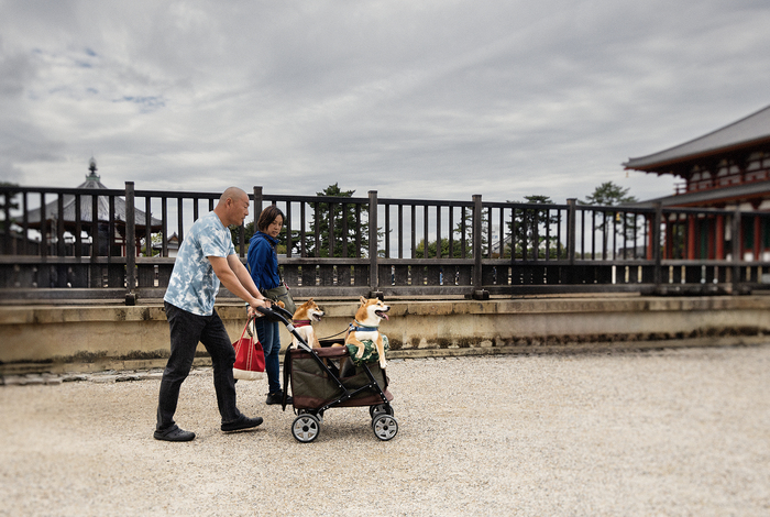 ������, ����, ������� 2025