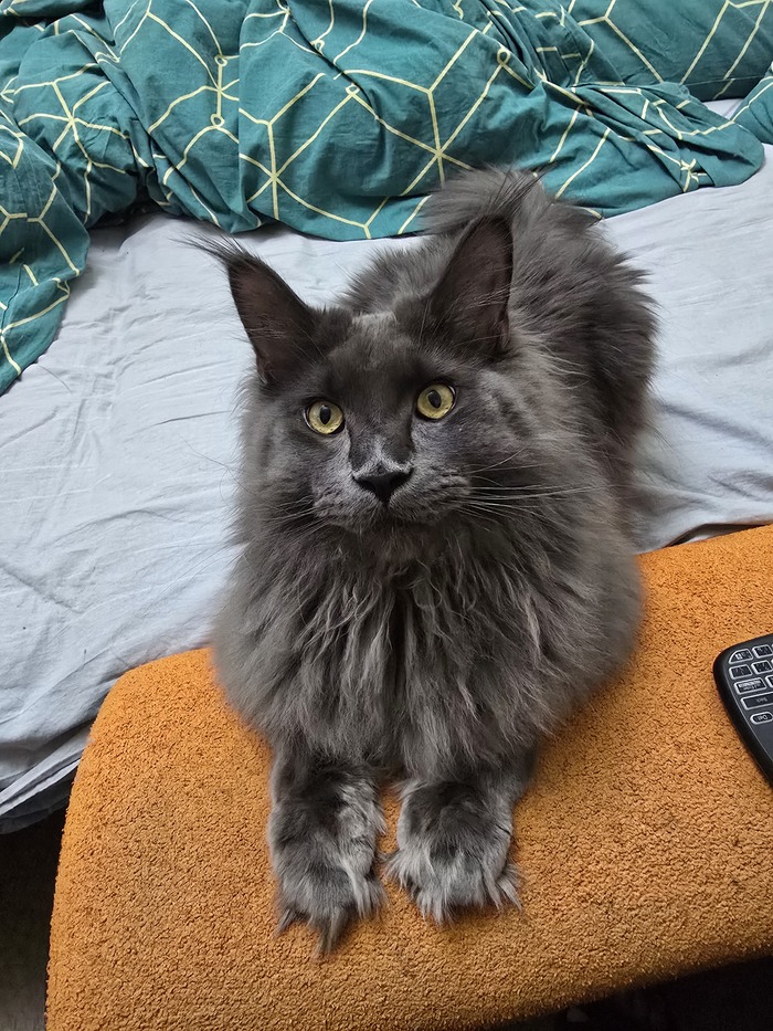 Малыш Спарки. 10 месяцев.