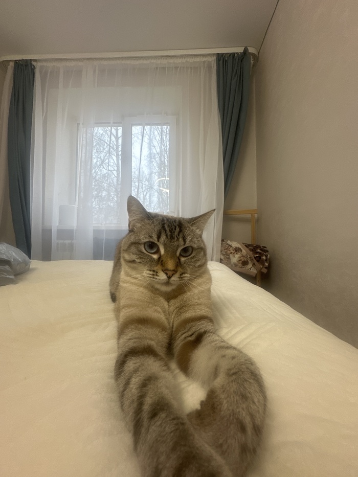 ����� �� ���� ���� ������ ���������� ����