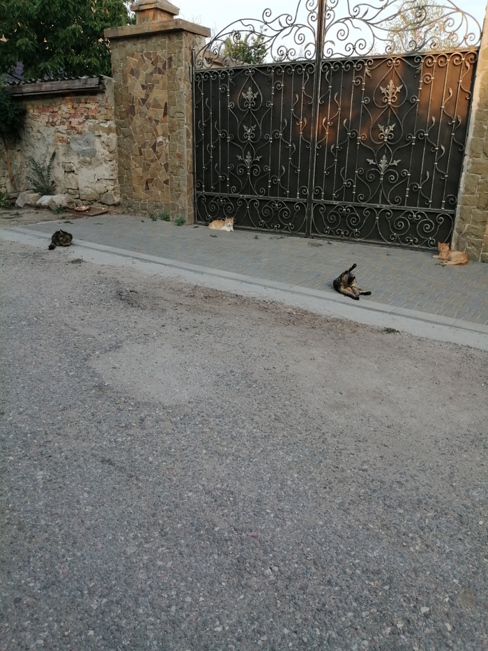 ��� ������ ���������� �����