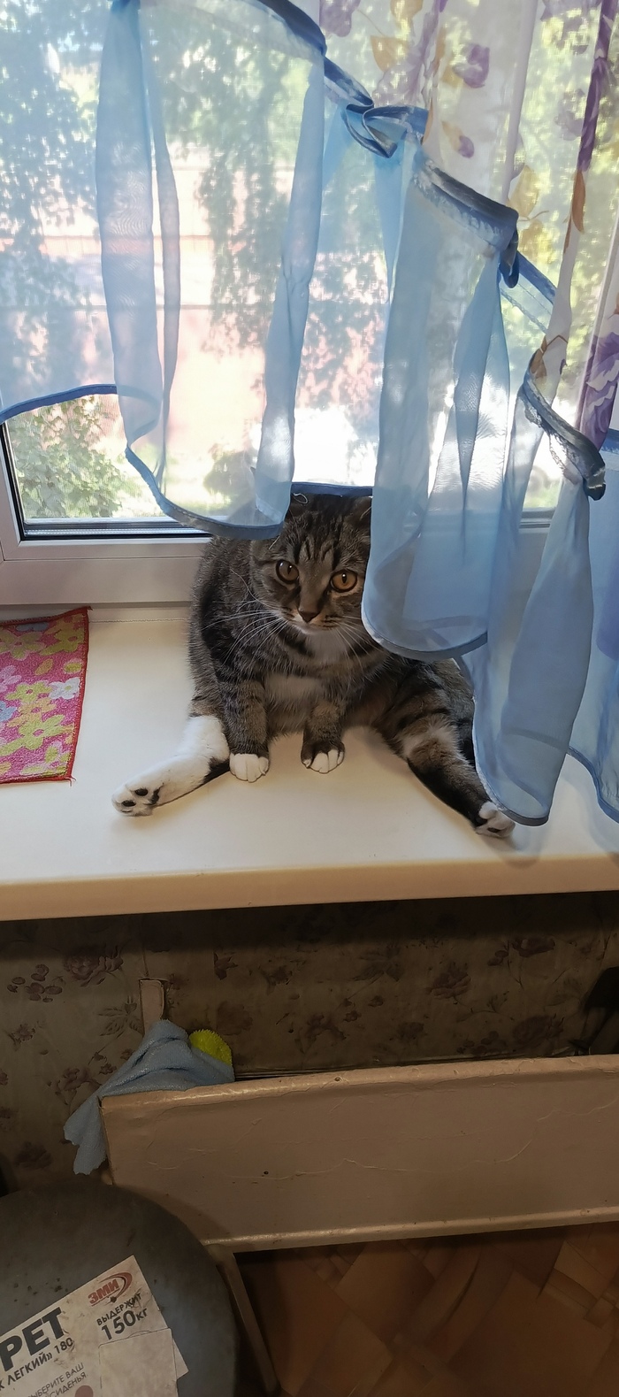 Сижу на попе ровно