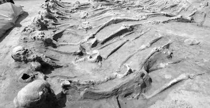 Что обнаружили строители железной дороги в Льюисе в 1846 году?