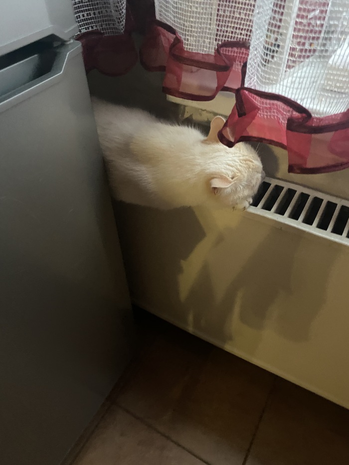 Зима, холядно