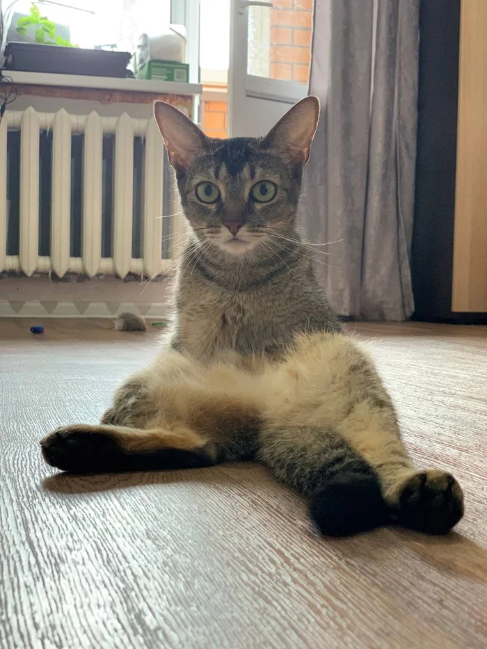 Ава не понимает почему её фотографируют