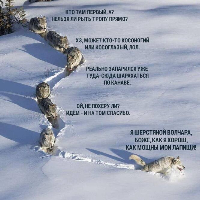 Мифы о стратегии