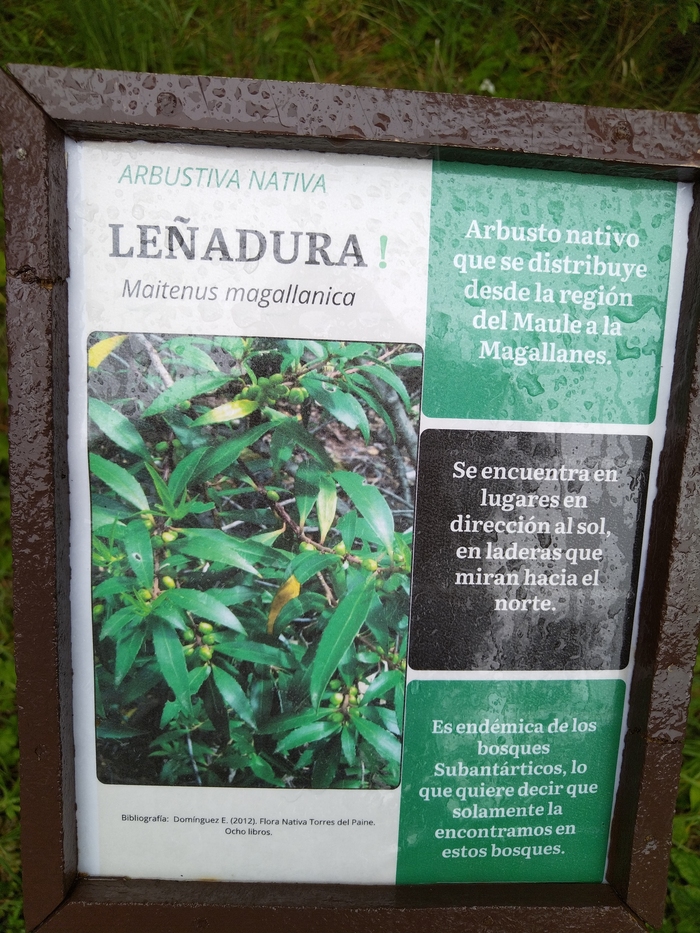 ���������� ��������... :)