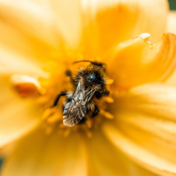 Мой лучший кадр 2025