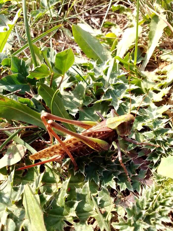 ��������