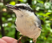 ��� �� �������� ��������� 