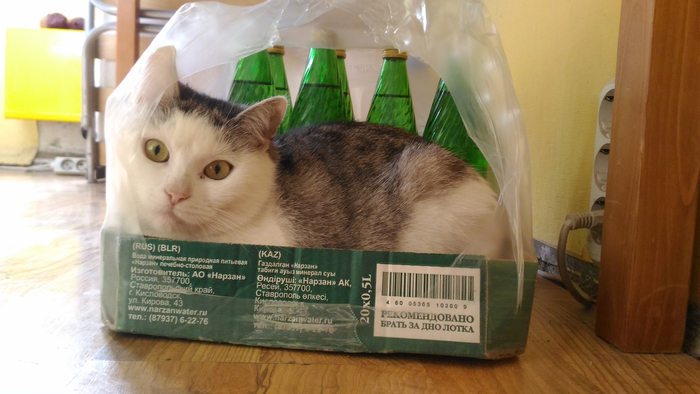 Есть "человек измученный нарзаном", а есть - кошка :-)