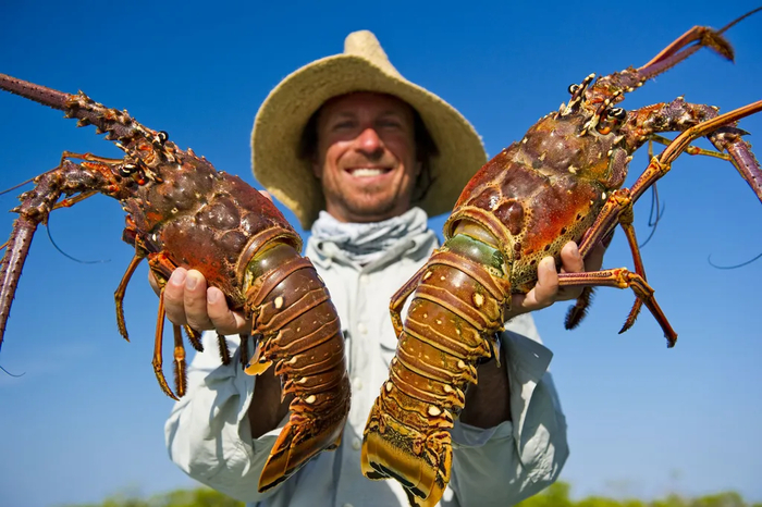 Единственный минус лангуста для самого лангуста в том, что он слишком вкусный!