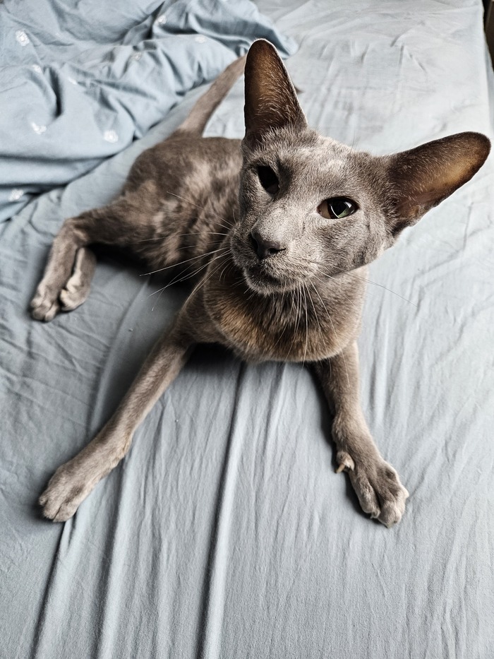 ����� �� ���� �������� �� 0 �� 10�