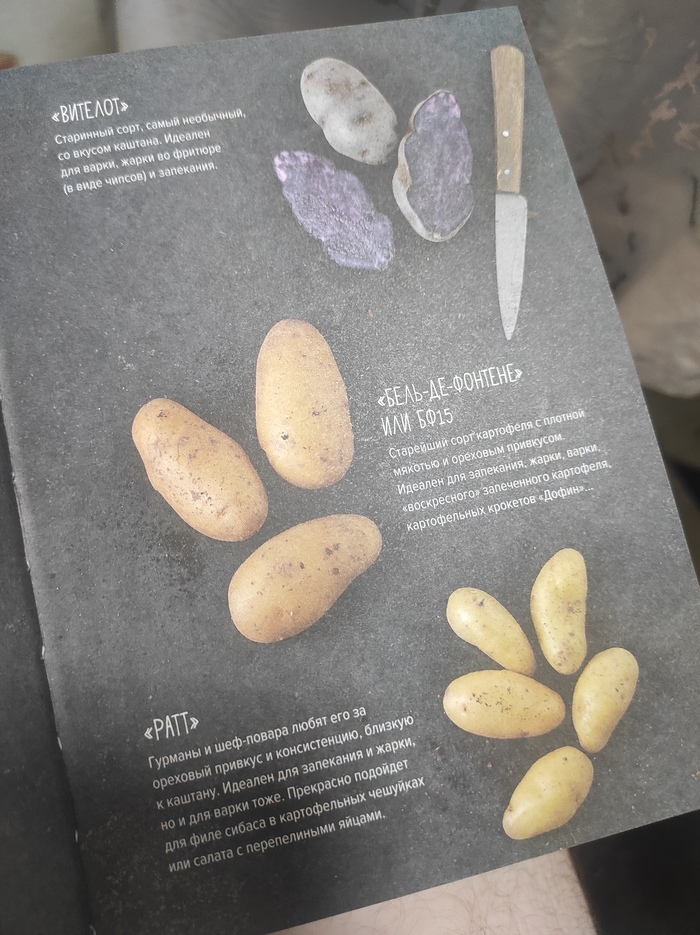 ���� �� ����, ��� ���������� ����� ����, ��� ��������