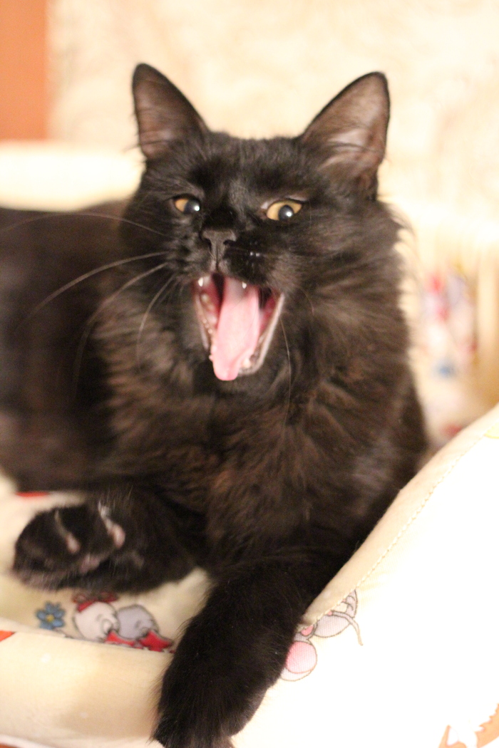 Бес участвует со своей лучшей фоткой)