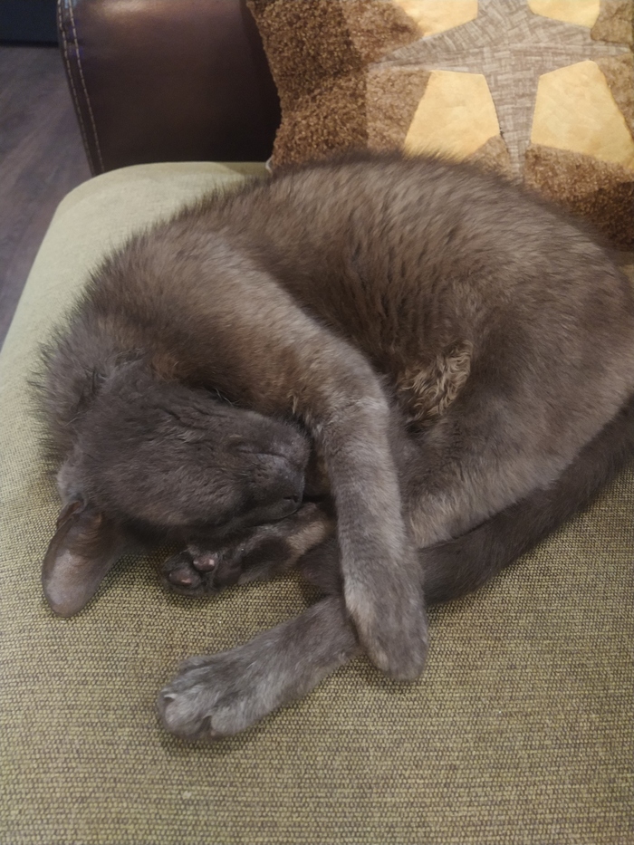 ����� �� ���� �������� �� 0 �� 10�