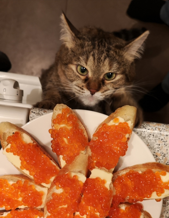 ����� �� ���� ���� ������ ���������� ����