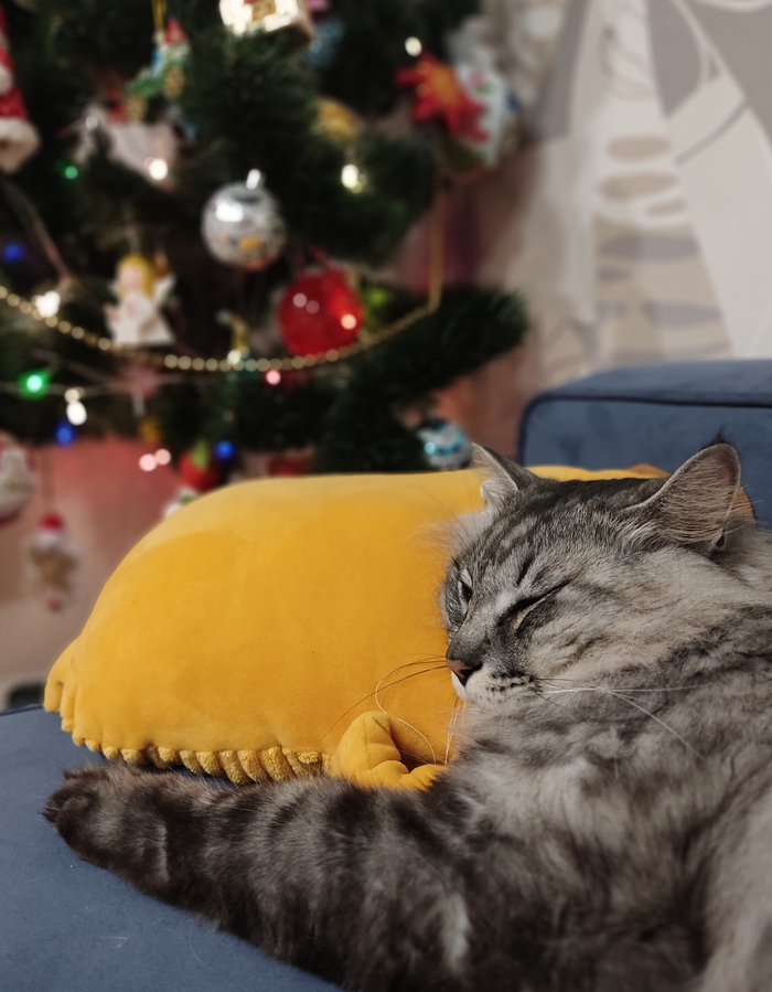 ����� ��� ����� ��� ����� ���?