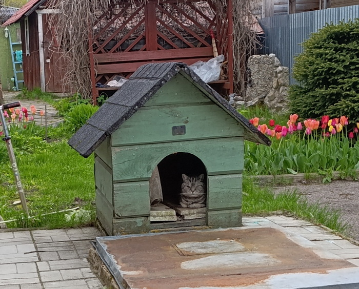 �������� �� ���