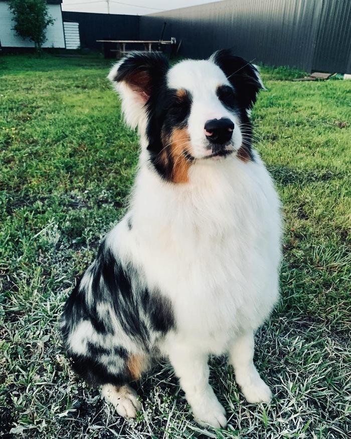 Мое лучшее фото этого года