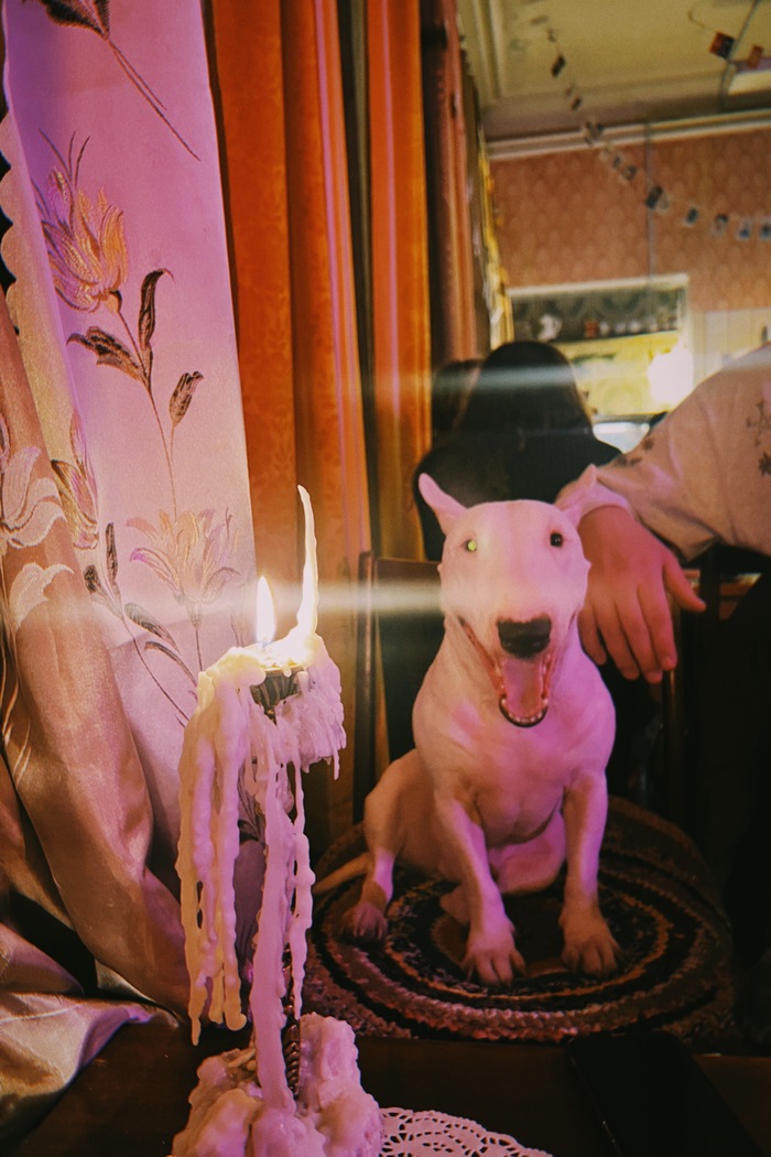 Пришли выпить чаю