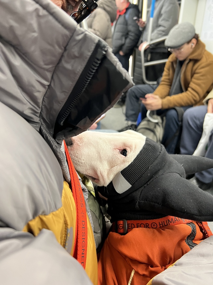 туда ехал очень довольный, обратно как босяк расстегнутый и с красной мордой