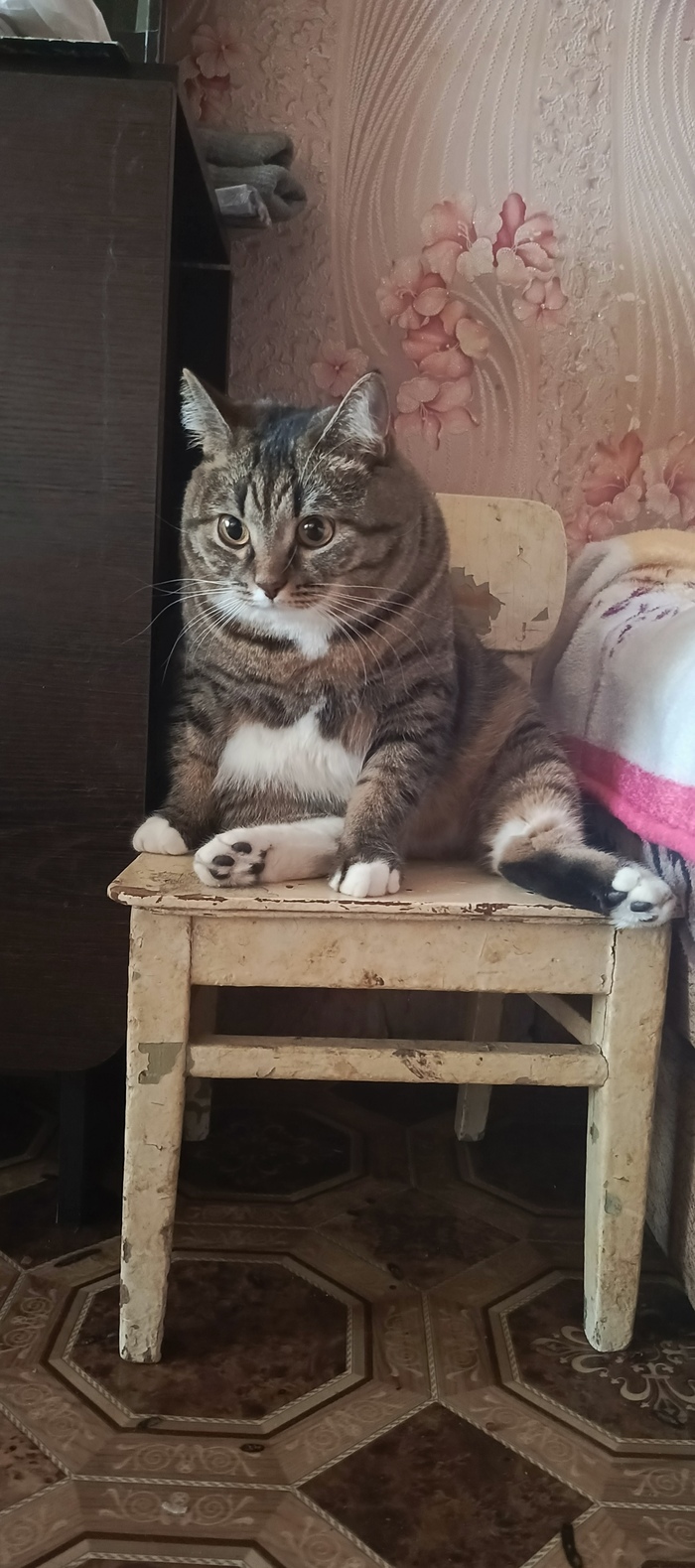 Чет задумался