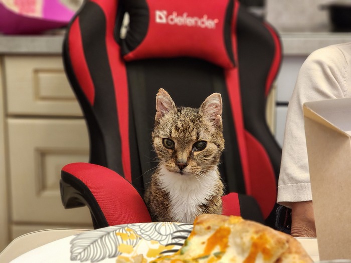 ����� �����