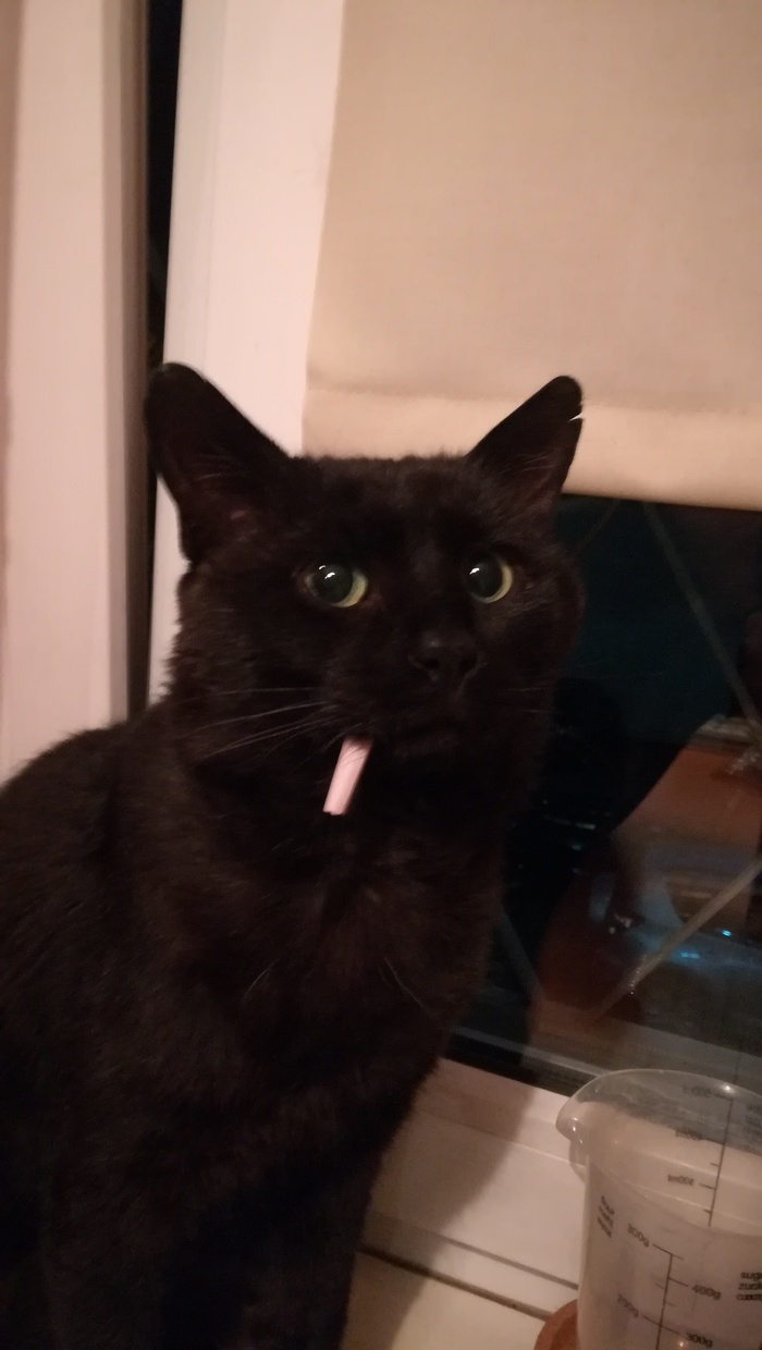 ��� �����������