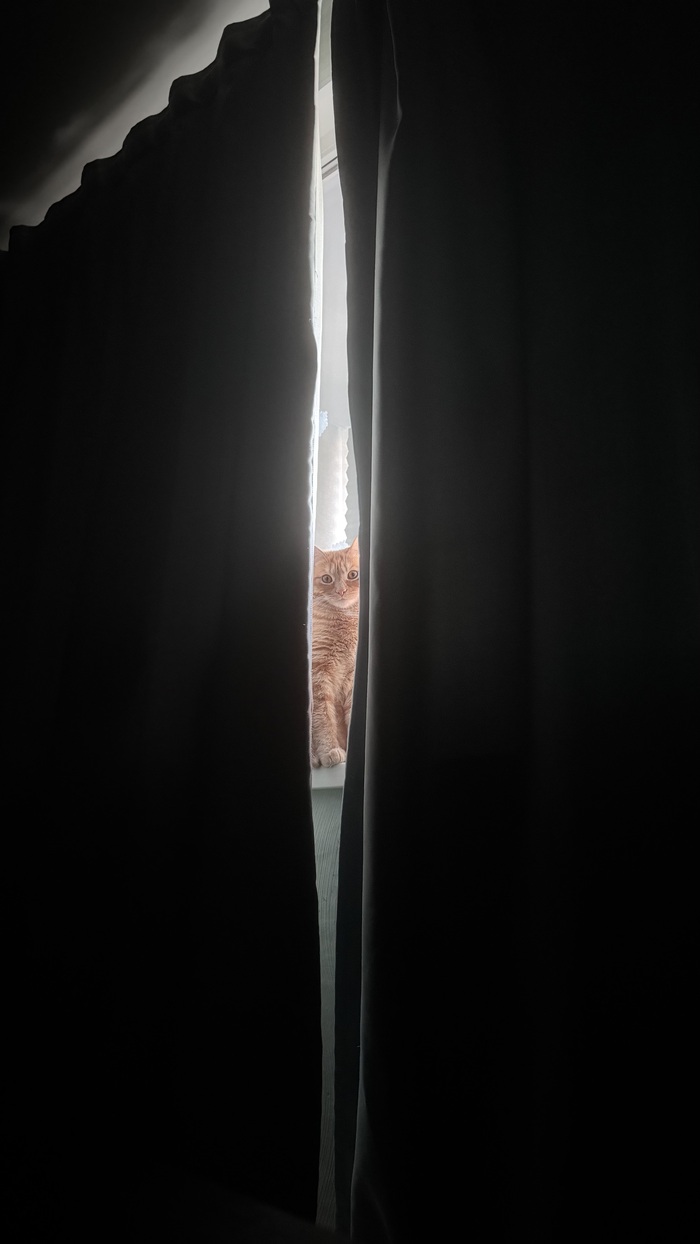 Аристотель. 2 года