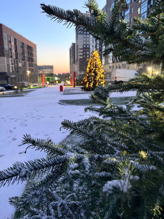 Ростов-на-Дону. Редкое явление - снег в декабре