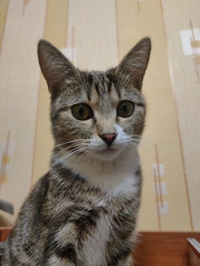 ����� �� ���� ������ �� ���� "��� ������ ���������� ����"�