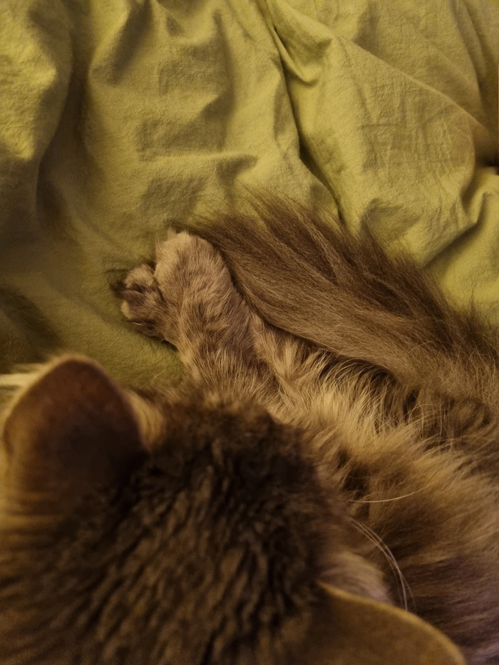 �������� �� ������