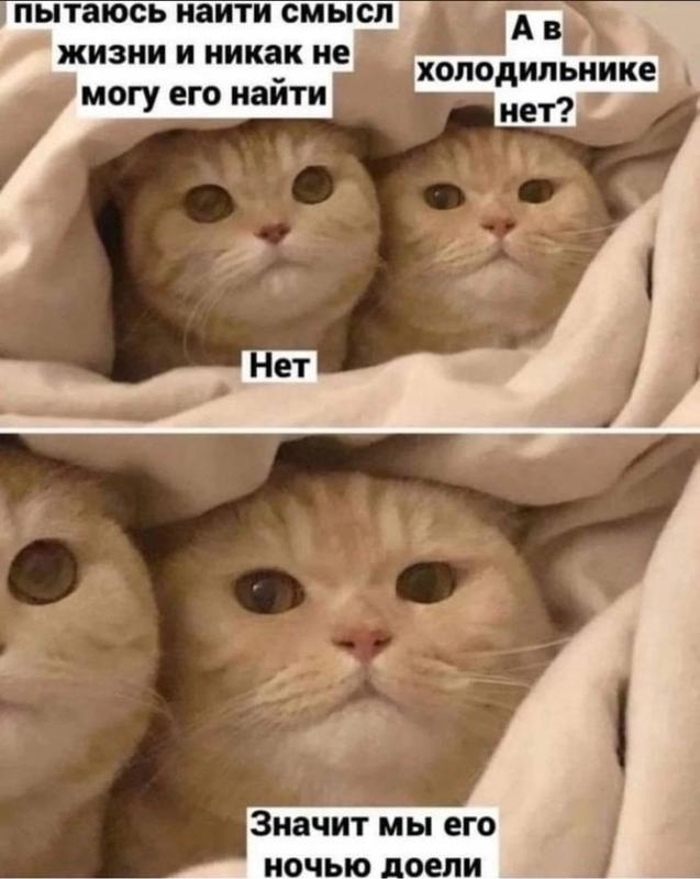 ��� � ��� ����?