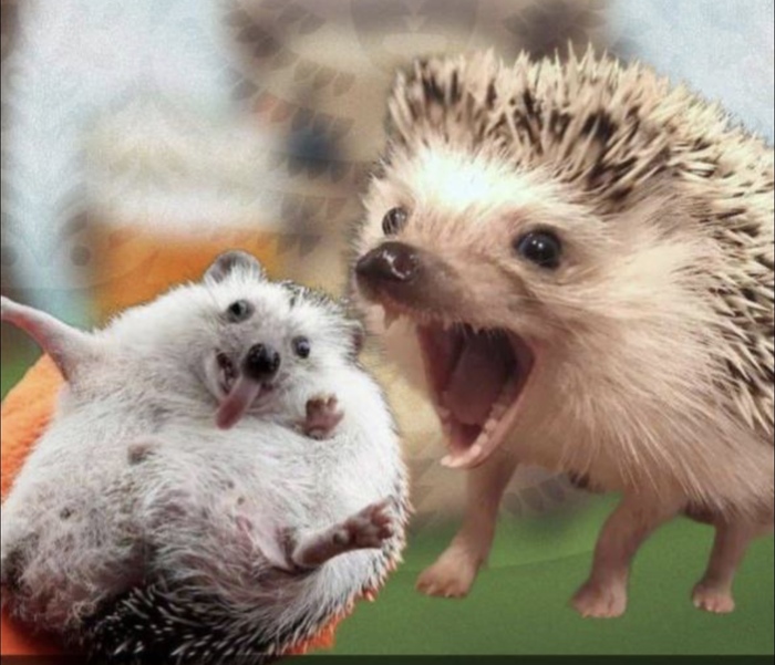 Моя реакция, когда орёт начальник))