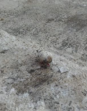 Пост ни о чём