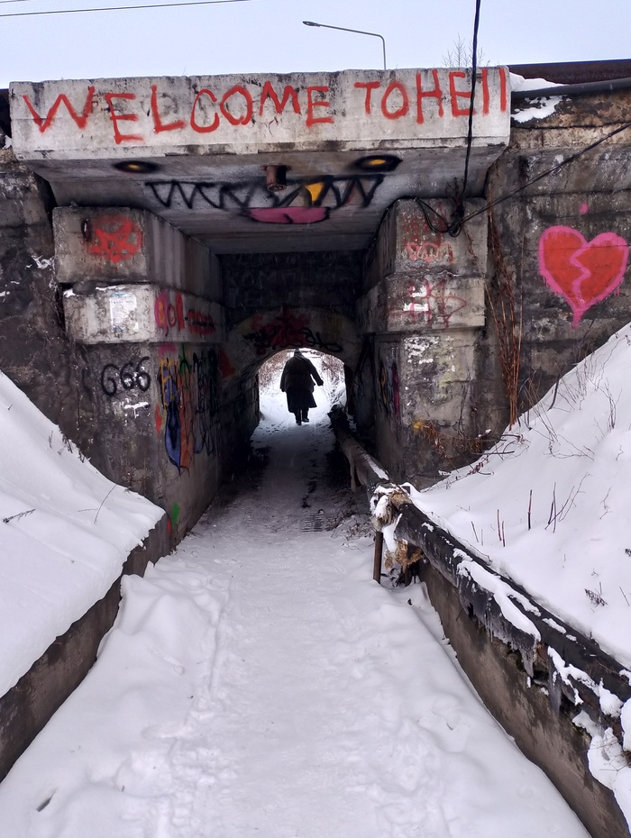 Лучшая фотография 2025