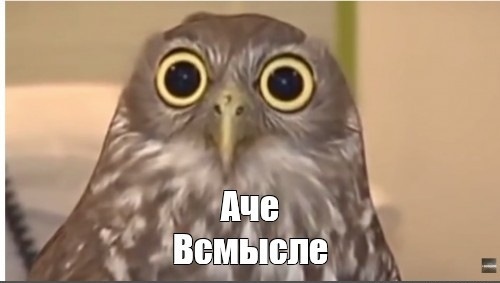 Всё, как и хотела