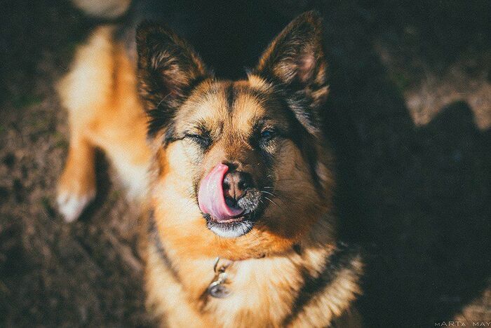 Оторва не хочет замуж