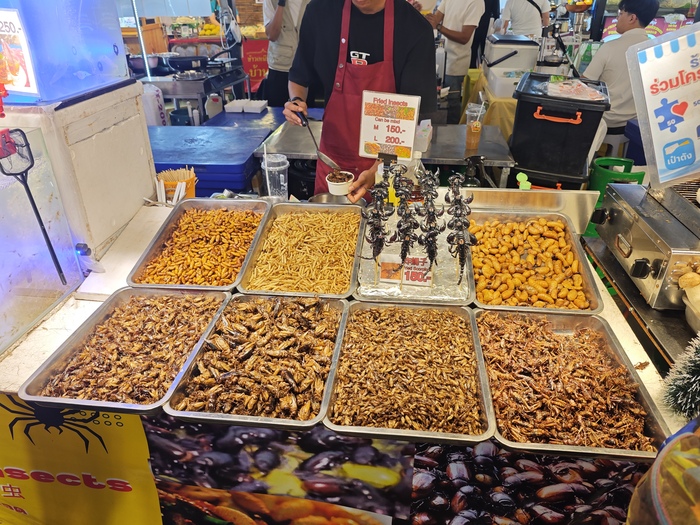 Кузнечики, сверчки, куколки и опарыши.