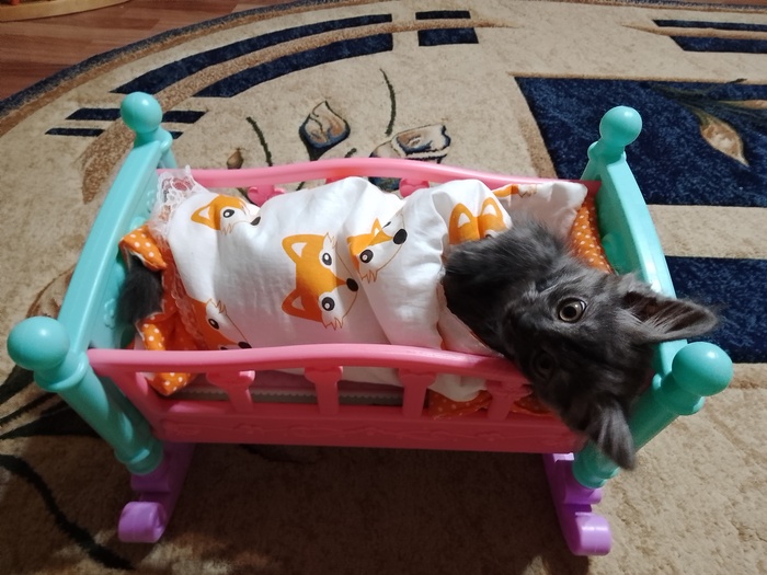 ���� ������ �� ����� ������