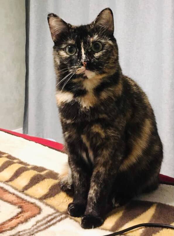 ������� �������� ���� ���!