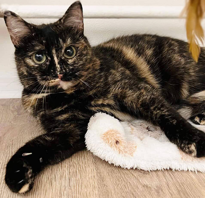 ������� �������� ���� ���!