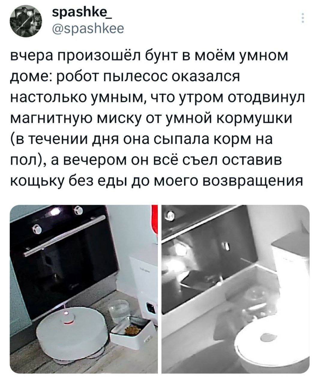 Терминатор нервно курит в сторонке - Робот-Пылесос, Кот, Скриншот, Картинка с текстом, Реклама, Реферальная ссылка