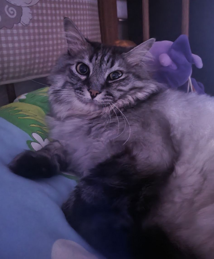 ����� �� ���� ���� ������ ���������� ����