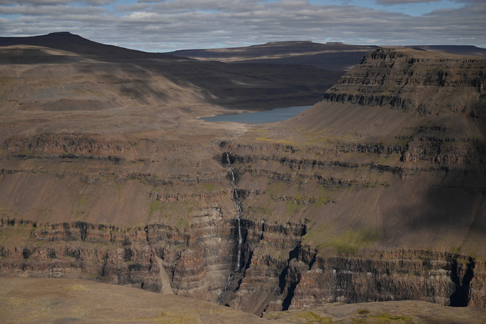 ���� ���������