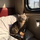 ����� ����� ������ ���� �����������