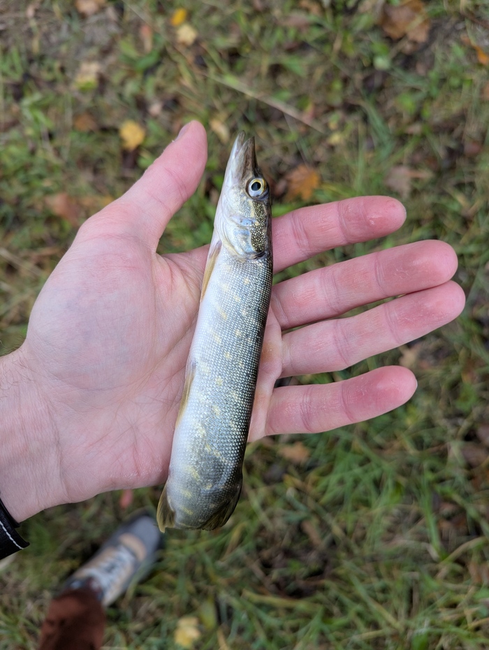 �� ������� �������, �� ����� ��������🙂