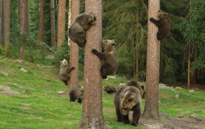 � ������ ��������� ����� ������ ����� ��� ���������� � ������� �� ������. ����������� ������ �� ���� �� ���� �����!