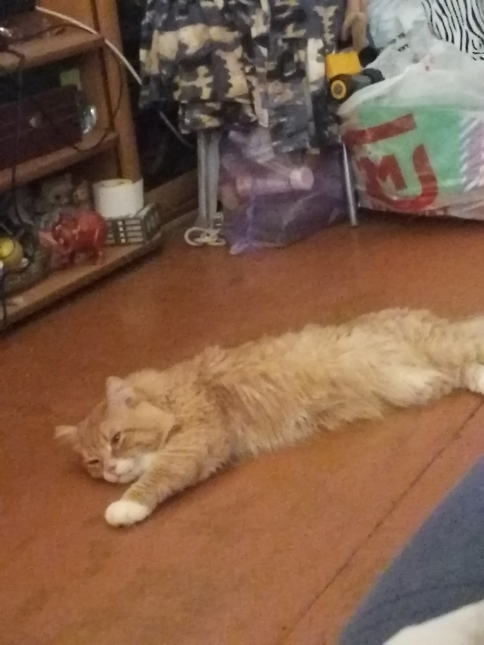 ������ ���������� ����